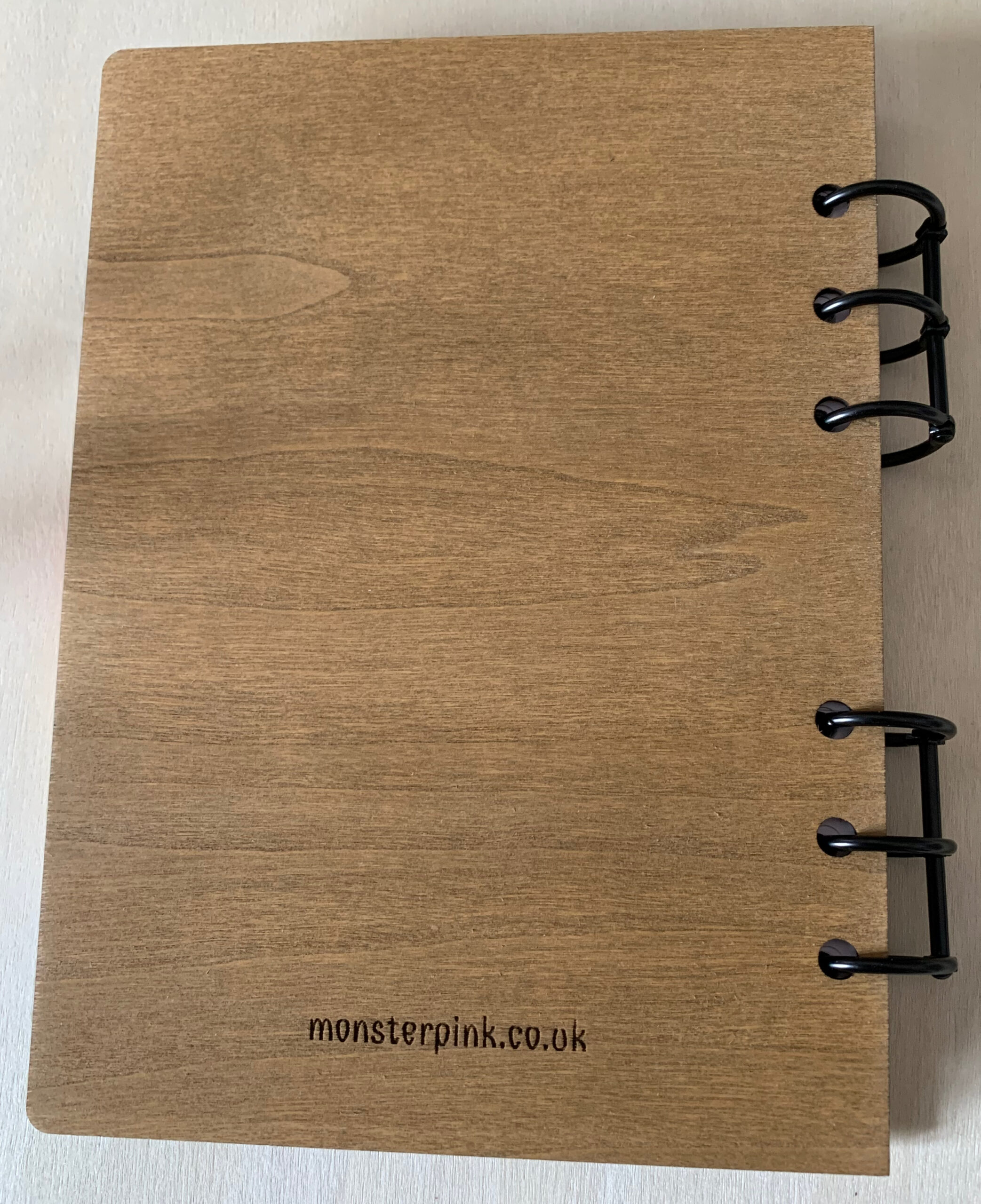 Dinosaur Notebook - Image 3